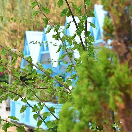 Cflow Beach Resort Byblos Dış mekan fotoğraf
