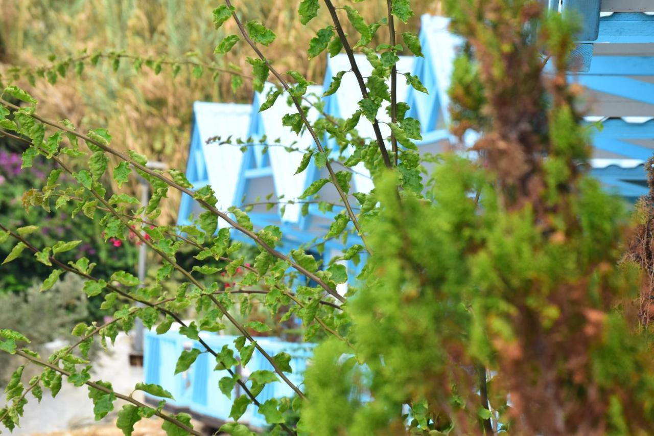 Cflow Beach Resort Byblos Dış mekan fotoğraf