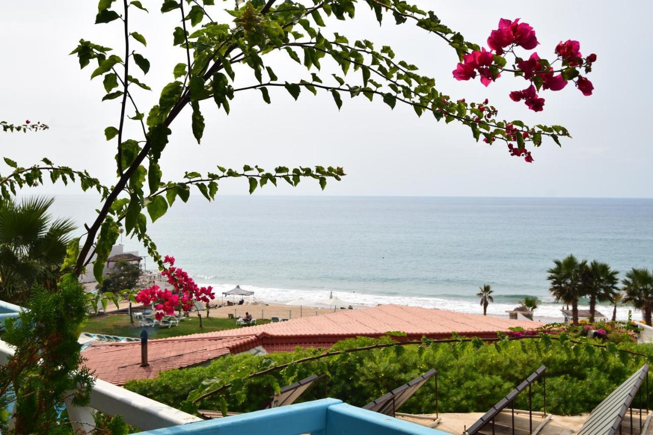 Cflow Beach Resort Byblos Dış mekan fotoğraf